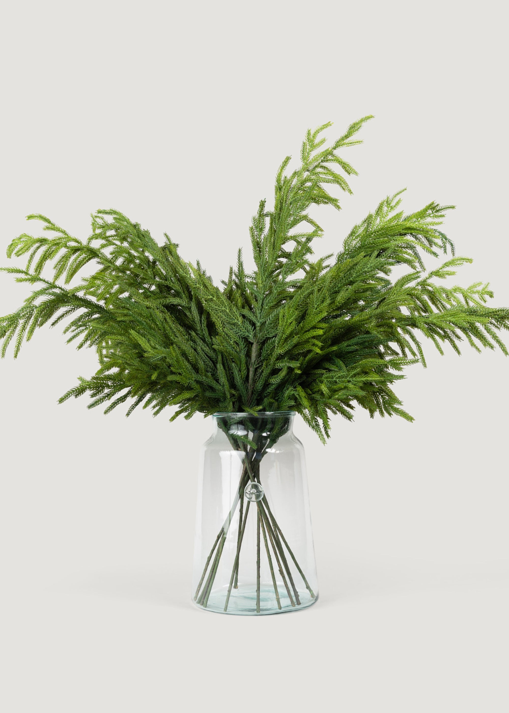 Real Touch Norfolk Pine in Clear Glass Vase