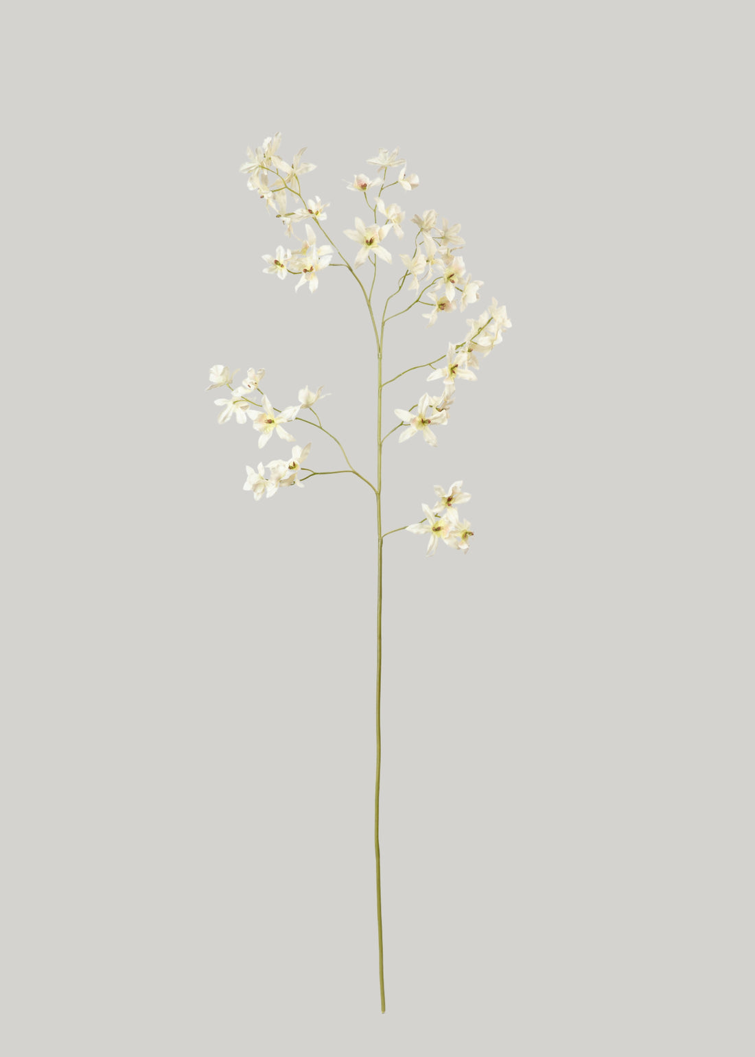 Oncidium Orchid Artificial Branch 