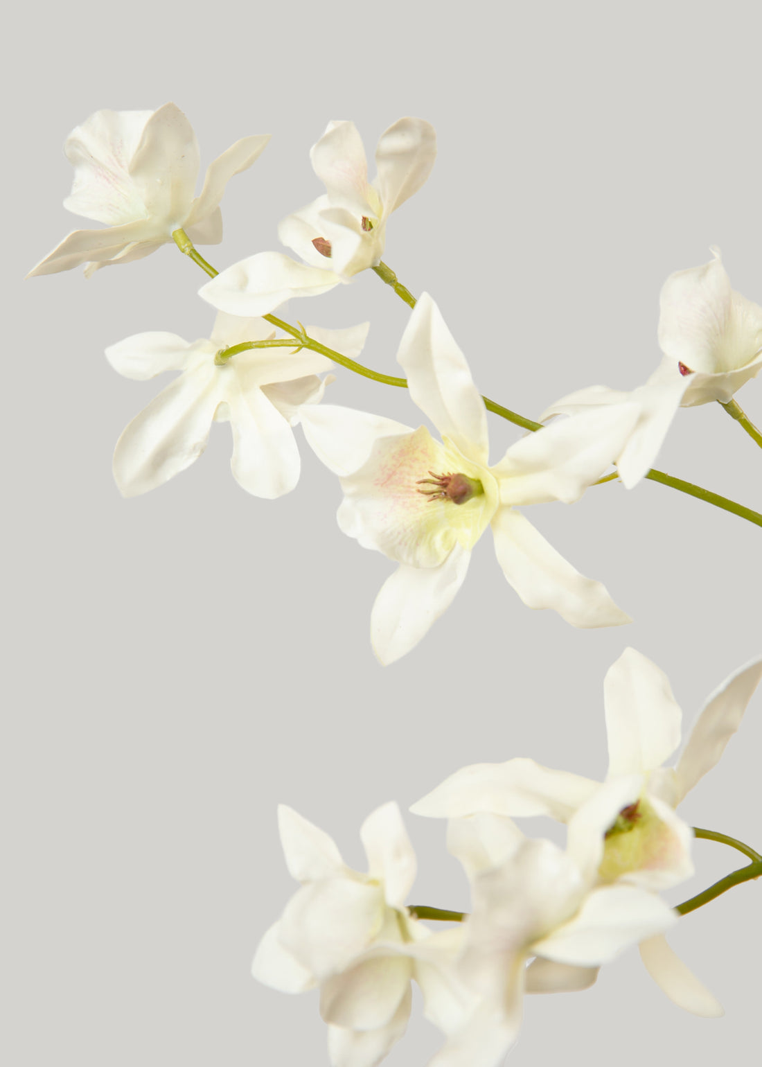 Artificial Dancing Oncidium Orchid 