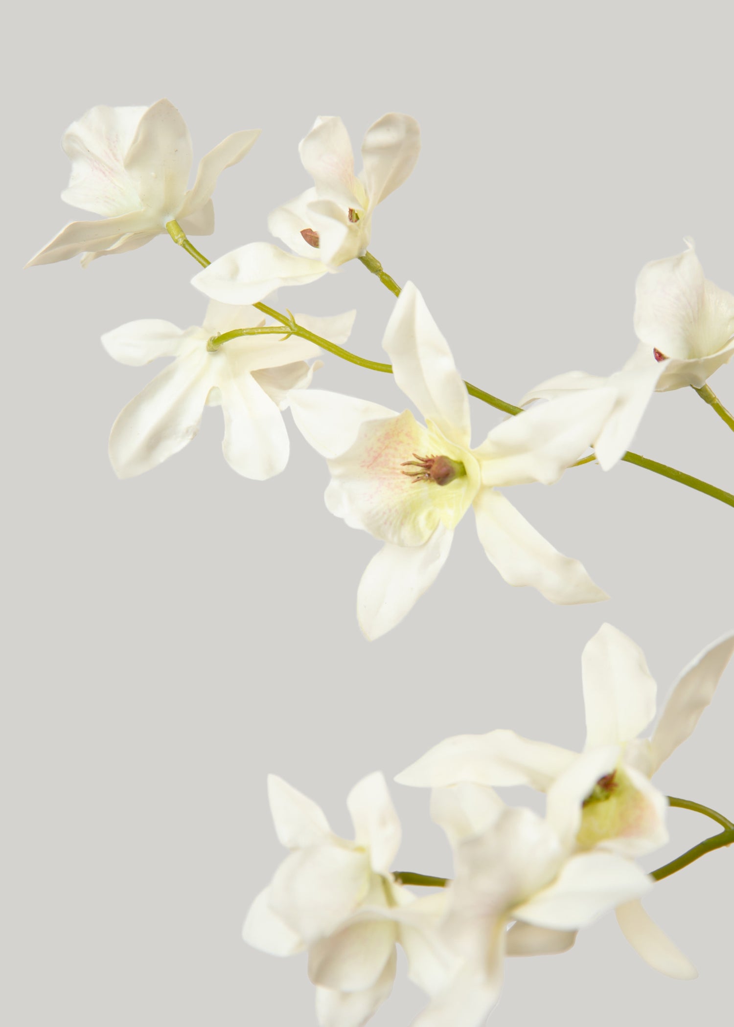 Artificial Dancing Oncidium Orchid 