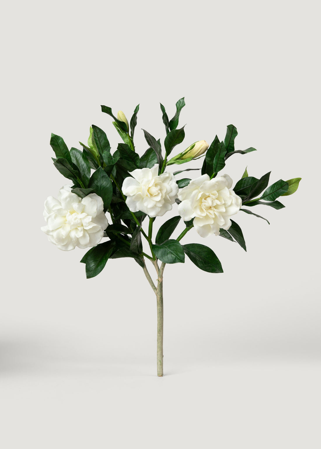 Deluxe Cream Artificial Gardenia Flower Branch