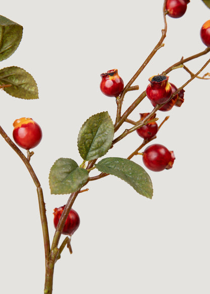 Artificial Crabapple Berries