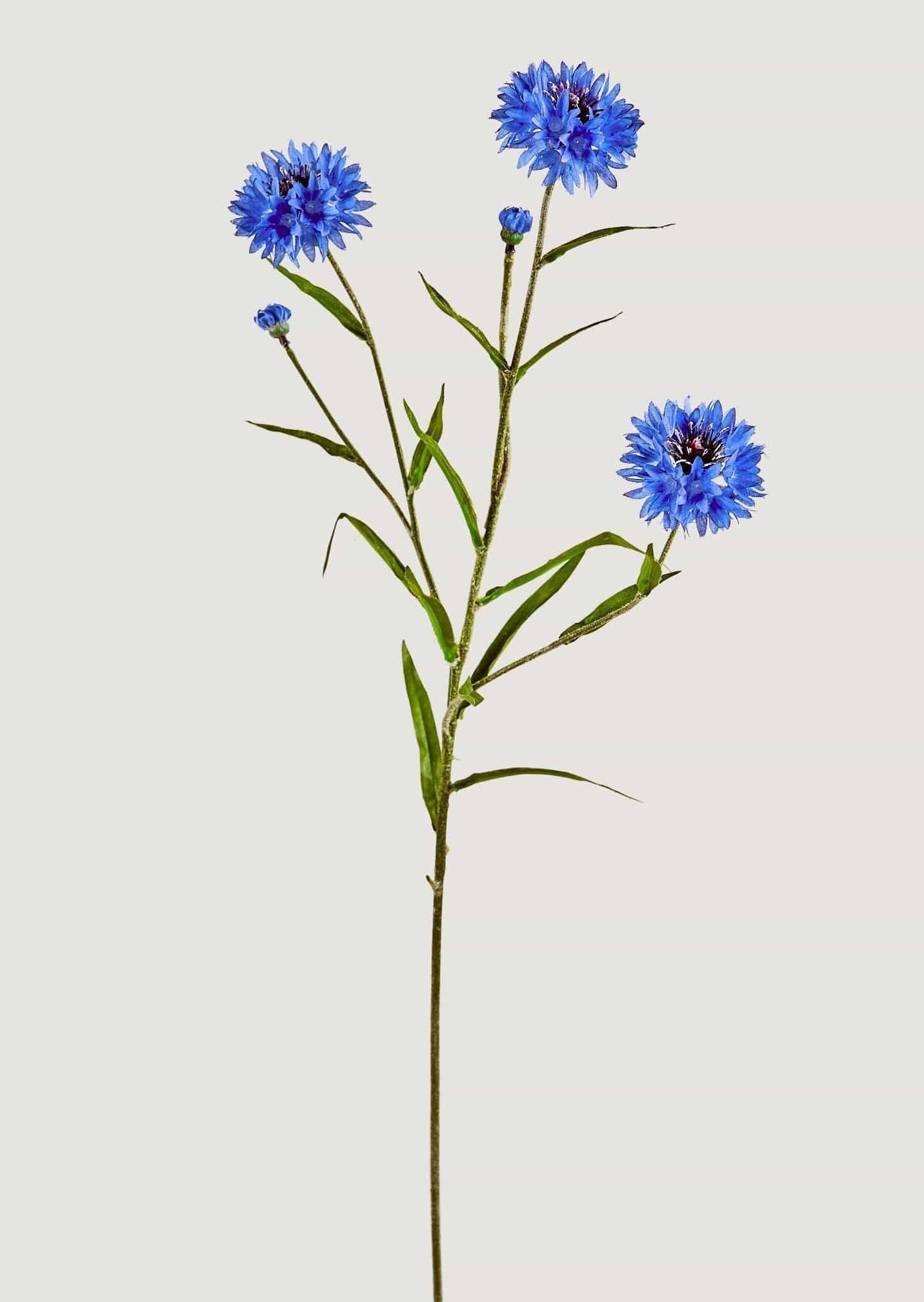 Cornflowers in Blue | Faux Wildflowers | Afloral.com