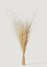 Dried Feather Grass Bundle