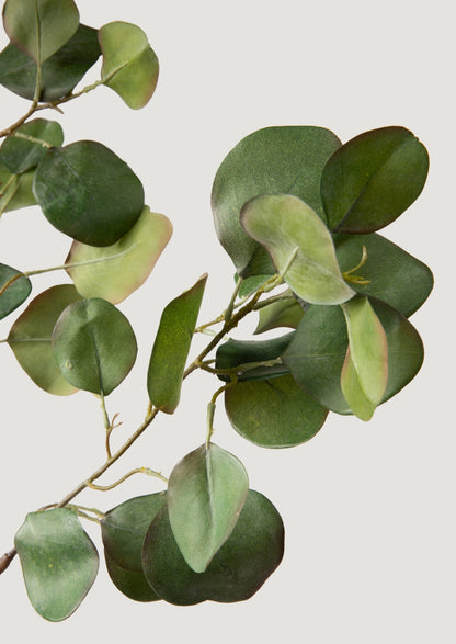 close-up of faux eucalyptus leaves