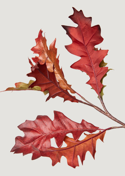 close-up of burgundy faux oak leaves