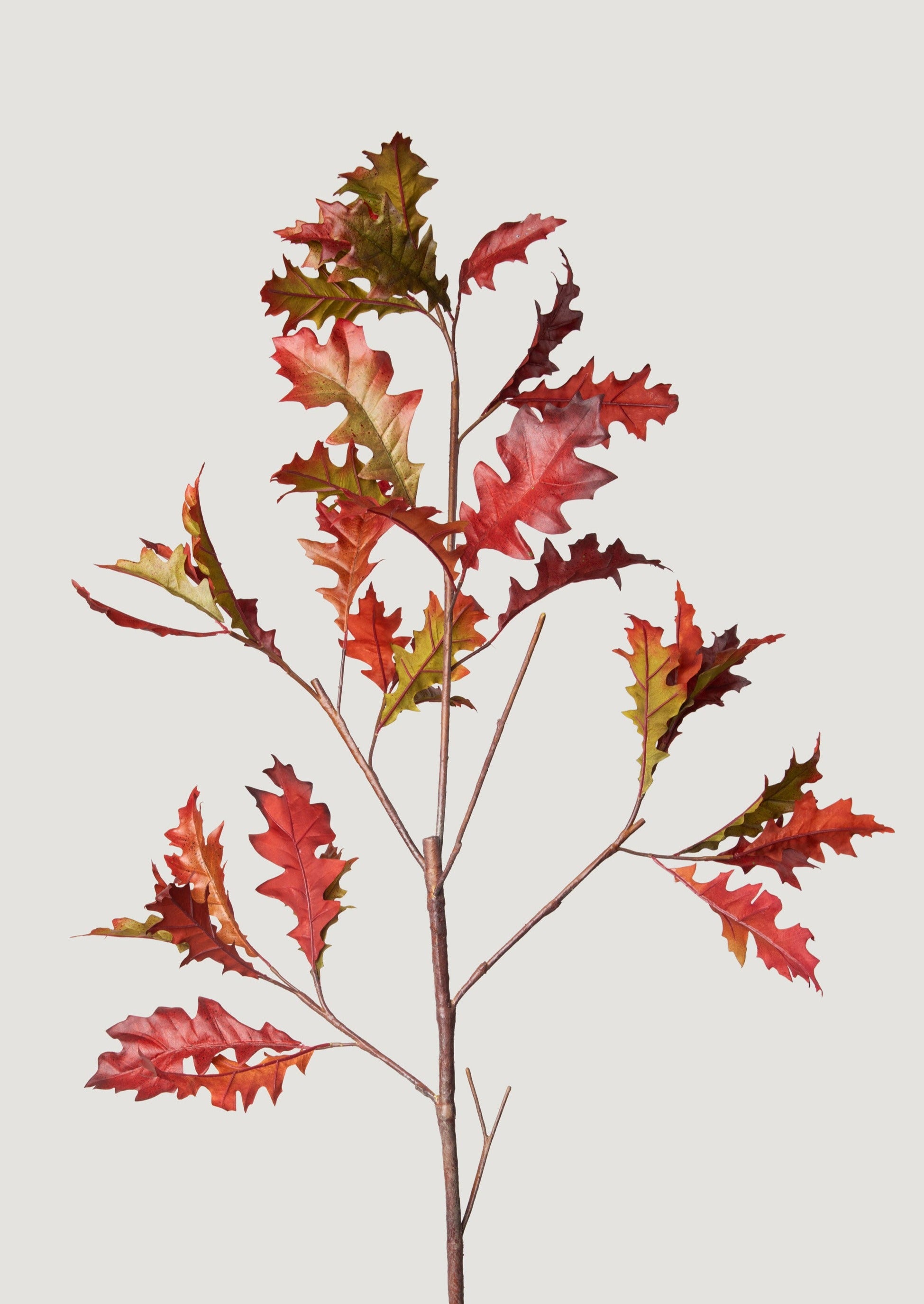 Faux Burgundy Oak Leaves