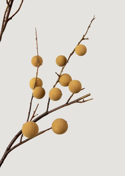 Closeup of Faux Longan Fruit Branch