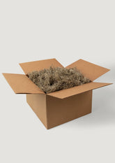 Bulk Box of Natural Dried Spanish Moss at Afloral