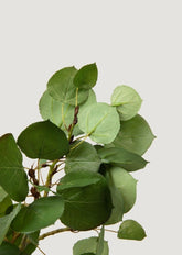 Luxe Faux Green Aspen Leaves in Closeup View