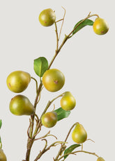 Close-up of Artificial Pear Branch