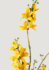 Faux Yellow Forsythia