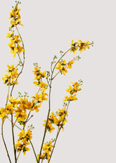 Faux Forsythia Branch