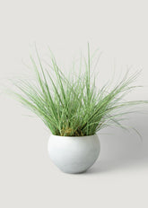 Luxe Faux Potted Plants Premade Grass in Cement Pot