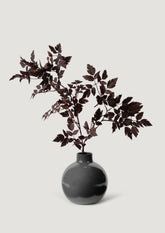 The Afloral Exclusive Taupe Round Glossy Vase with Cimicifuga Stem