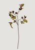 Faux Fig Branch