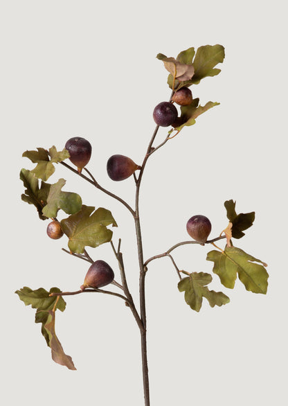 Artificial Fig Branch