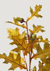 Artificial Oak Leaves and Acorns Fall Branch at Afloral