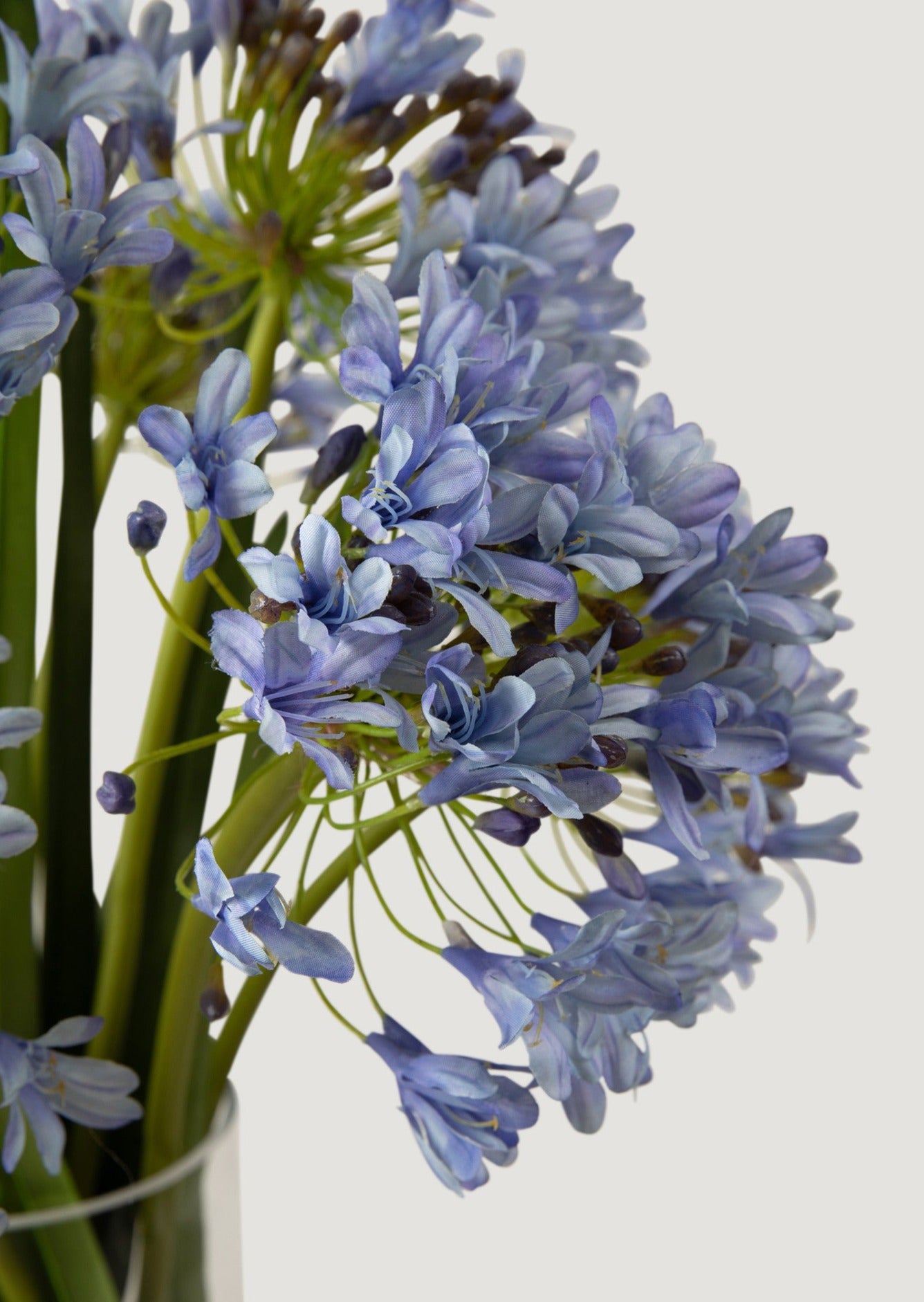Faux Agapanthus Flower Closeup