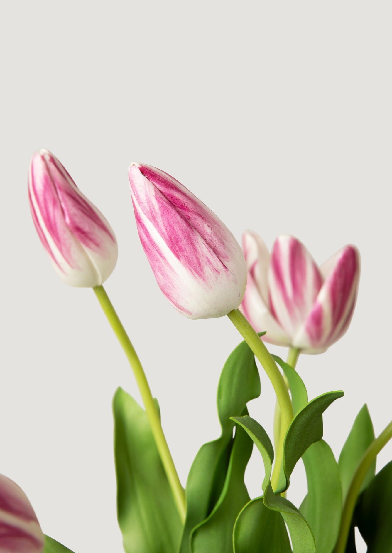 Faux Tulip Closeup