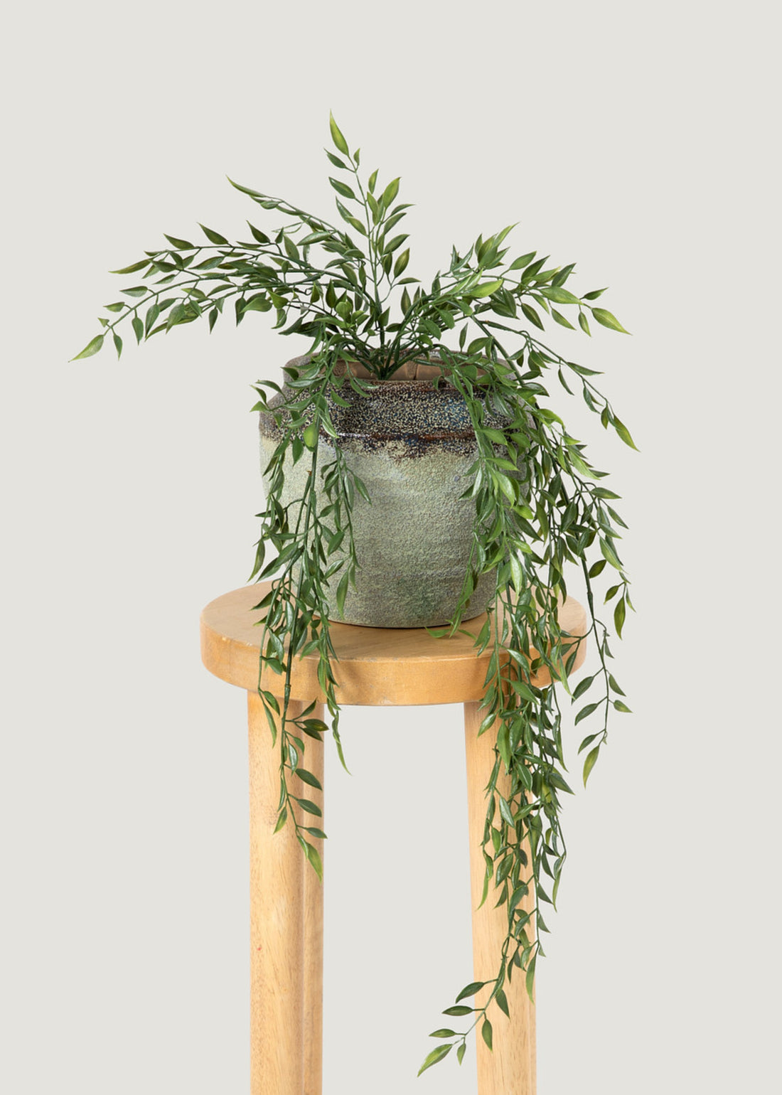 Hanging Ruscus in an Earthy Pot