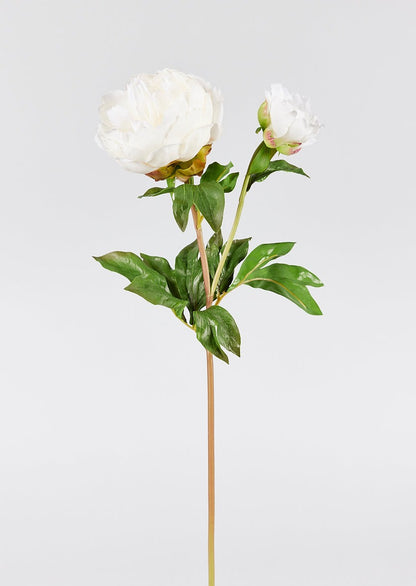 Artificial Peony Stem in Beige Luxe Real Touch Flowers at Afloral