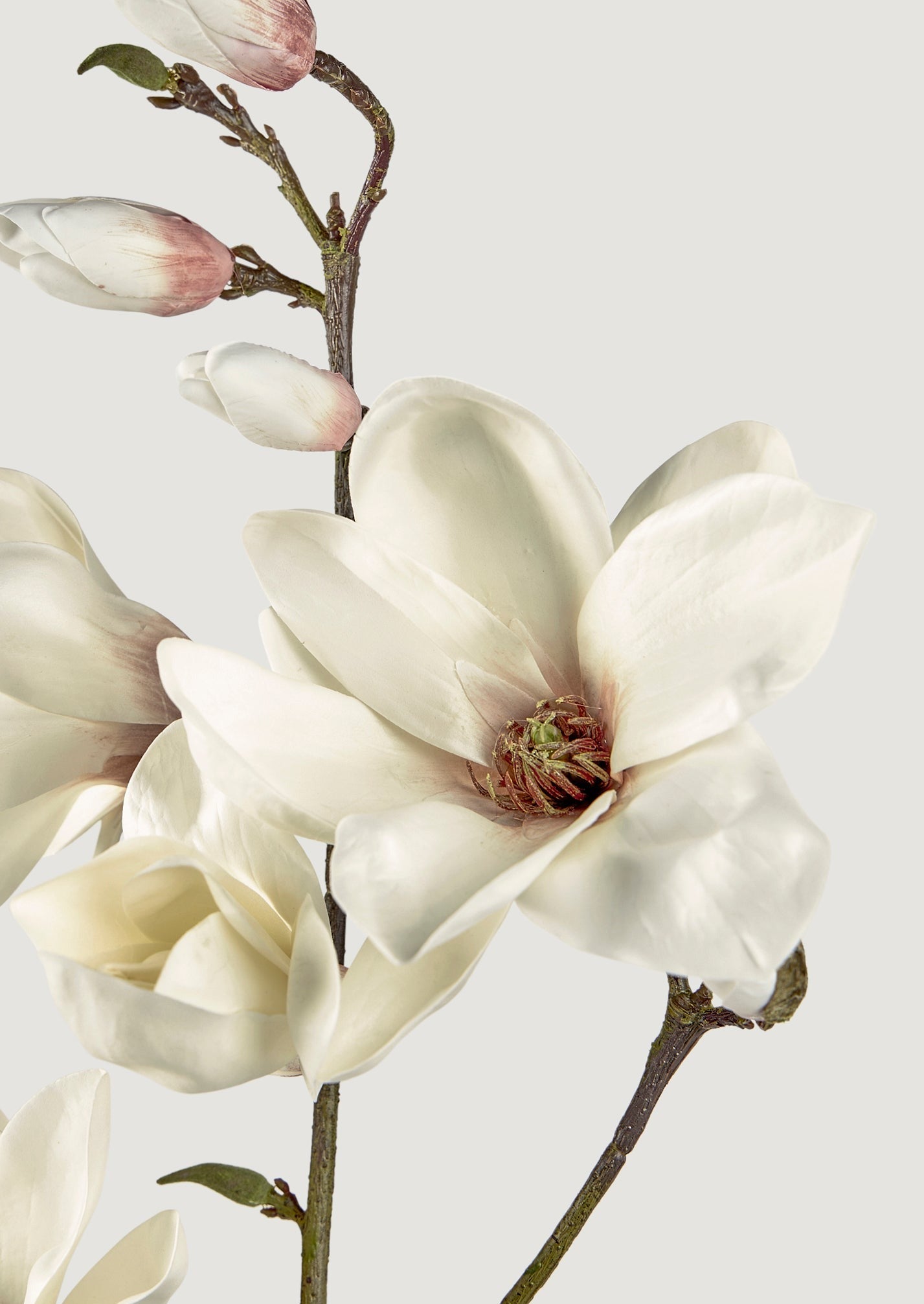 Faux Blooming Magnolia Branch - 35" | Afloral