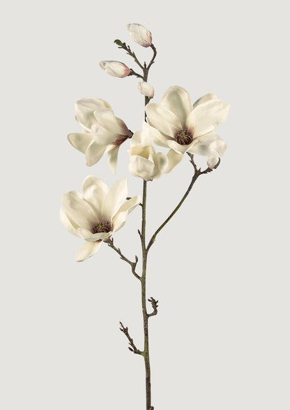 Cream Berry Stem - Magnolia