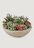 Pink and Green Artificial Succulent Arrangement in Planter Pot at Afloral