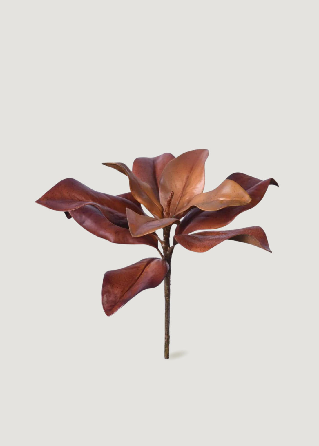 Faux Brown Magnolia Leaves