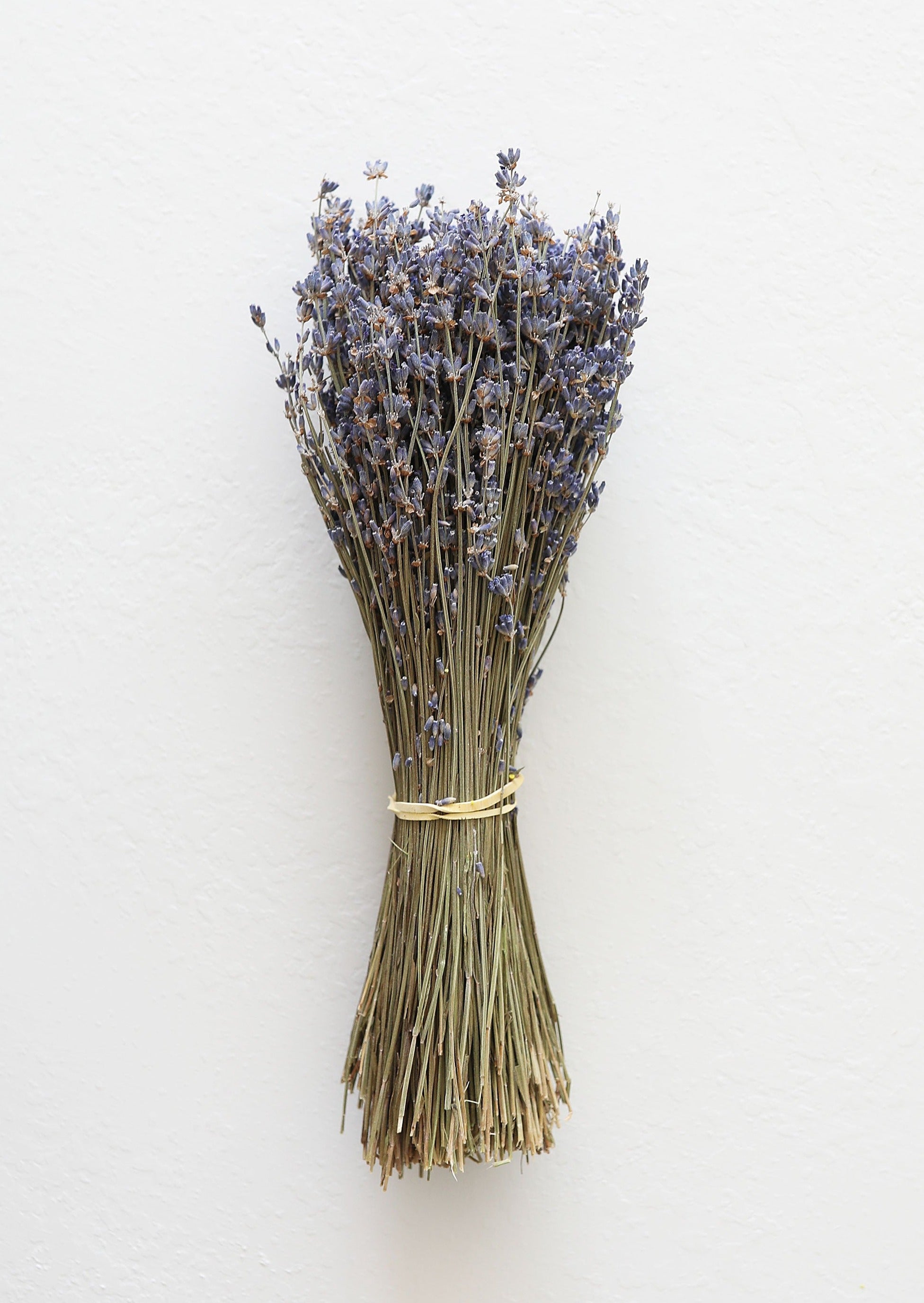 Dried Lavender Bundle