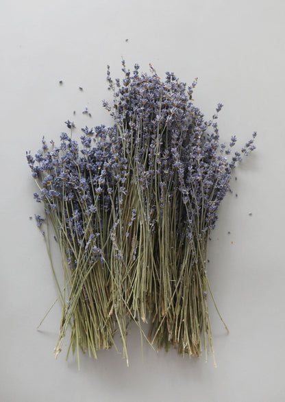 Natural Dried Lavender for Home Decorating