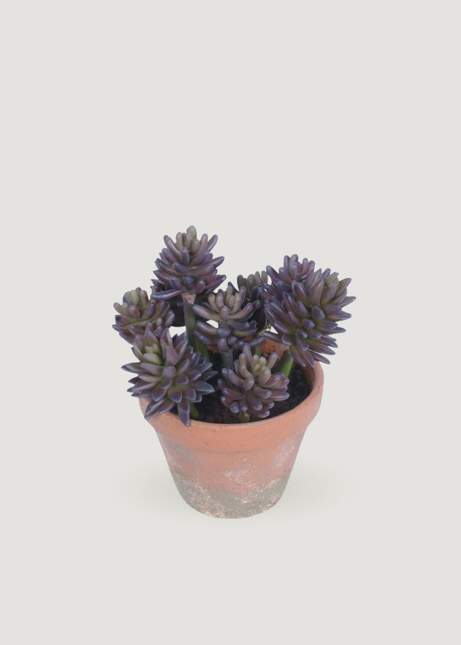 Fake Potted Succulent