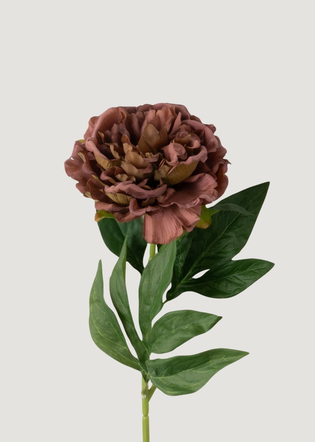 Mauve Brown Real Touch Peony