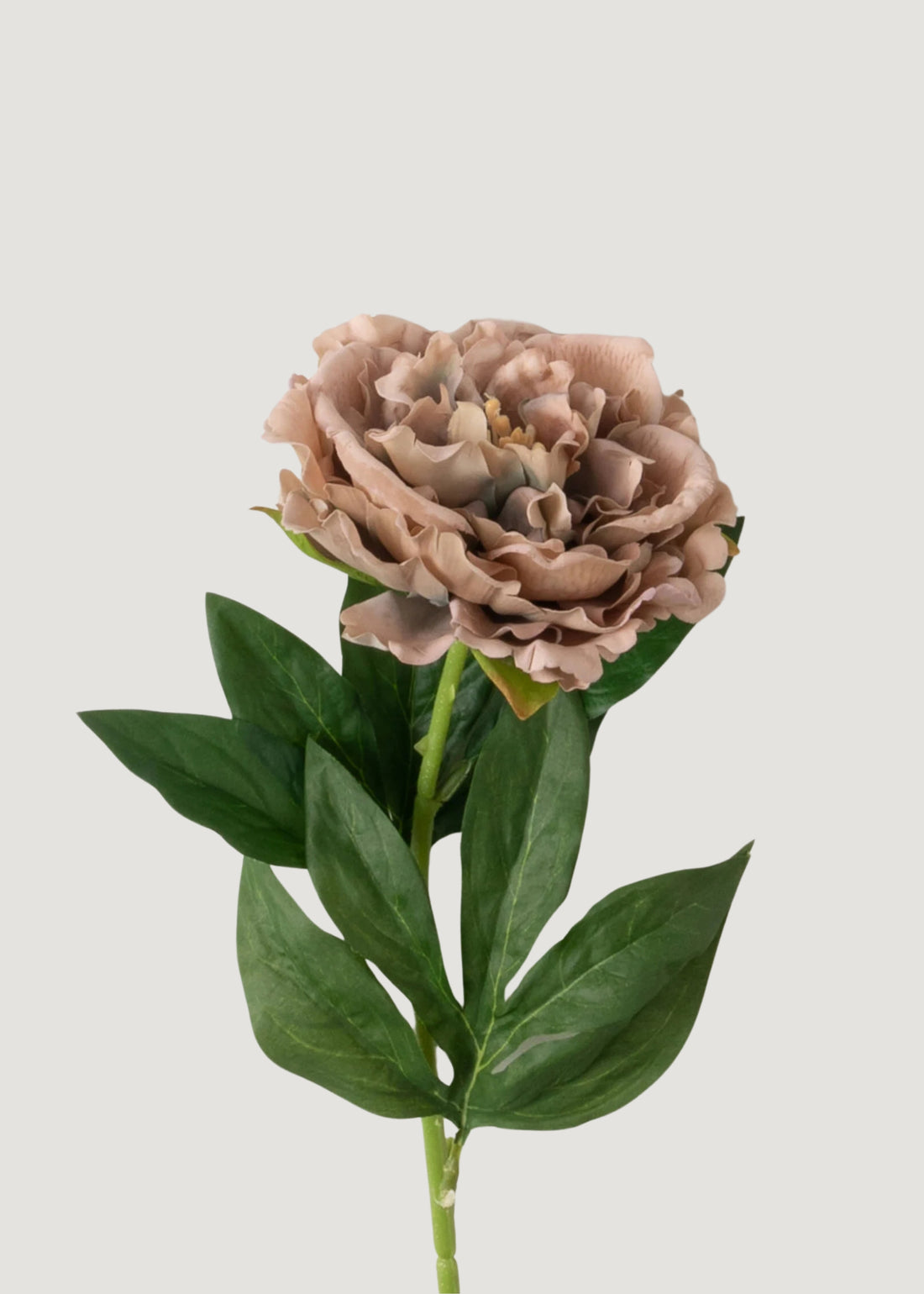 Mauve Taupe Real Touch Peony