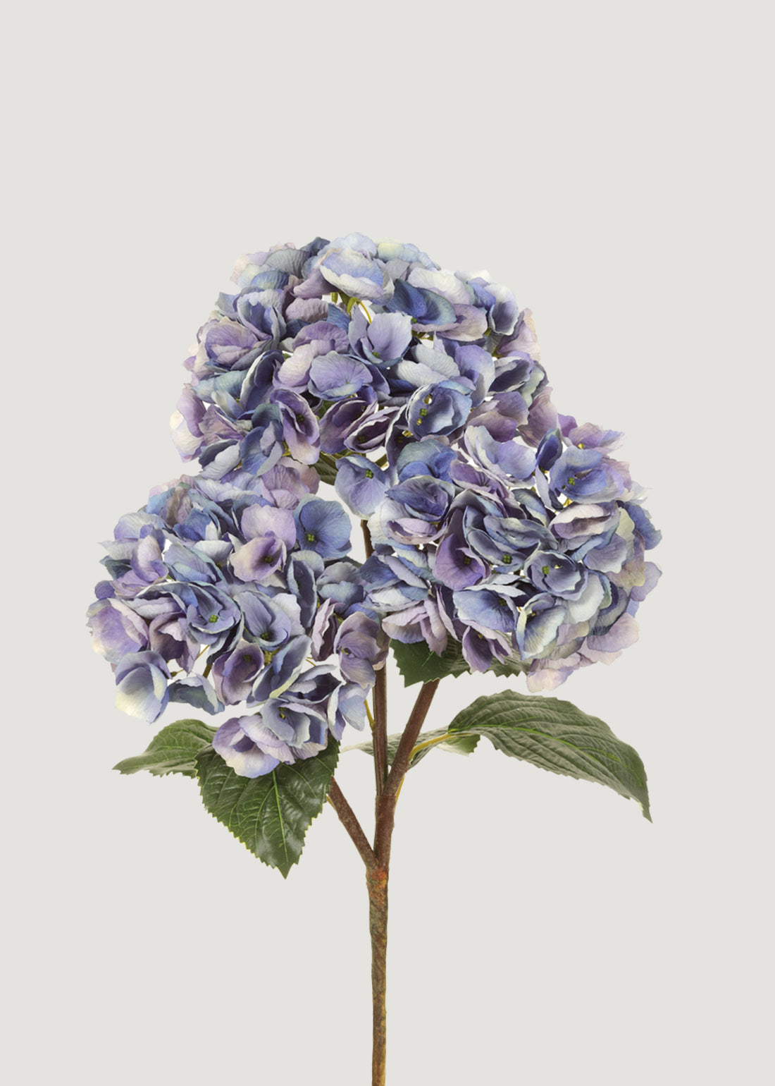 Large Lavender Blue Hydrangea Stem