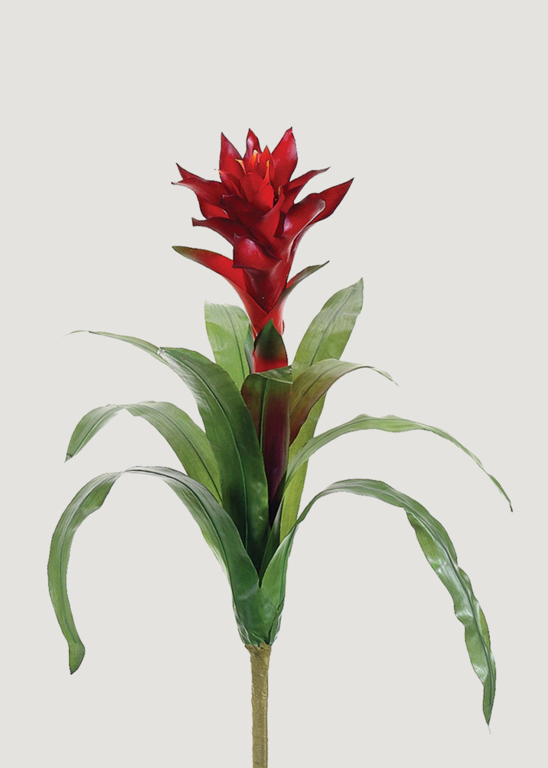 Faux Red Bromeliad 