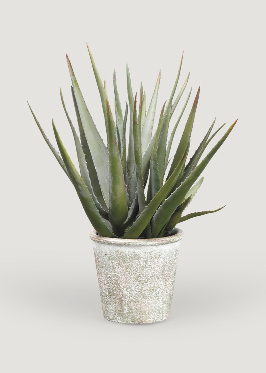 Artificial Potted Agave Succulent Plant