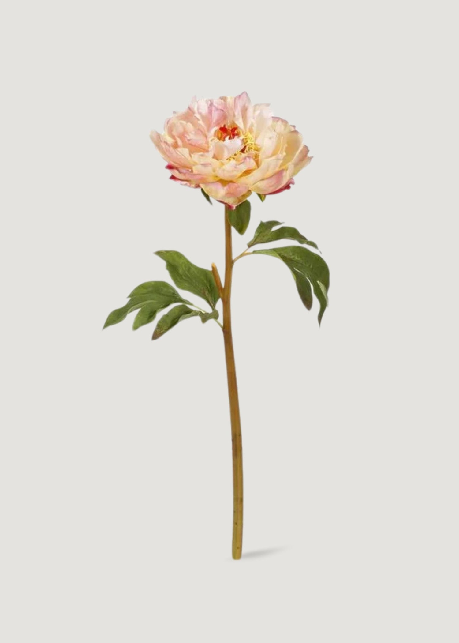 Faux Peony Flower in Peach Pink - 20&quot;