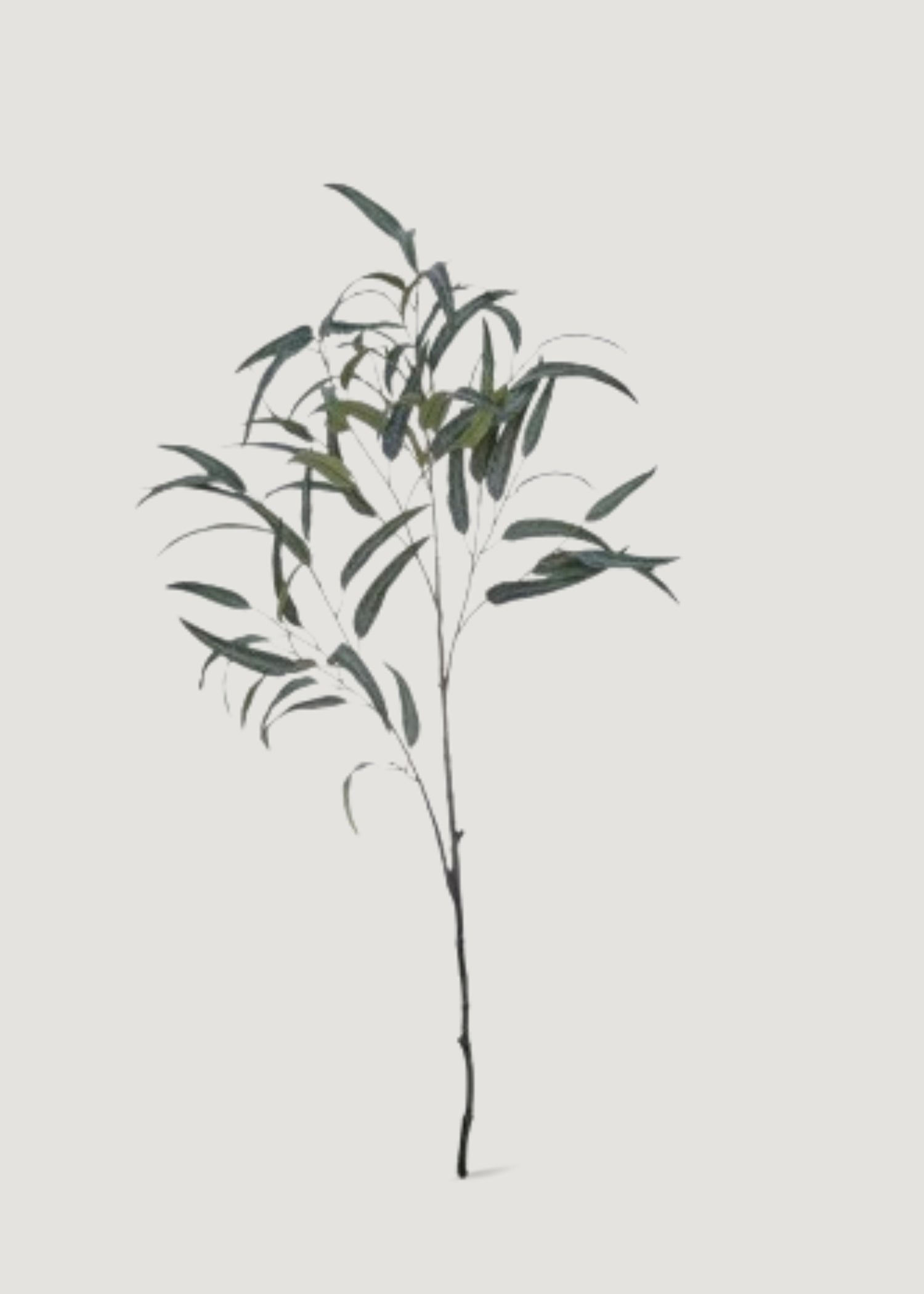 Deluxe Willow Eucalyptus Faux Tall Branch - 49&quot;