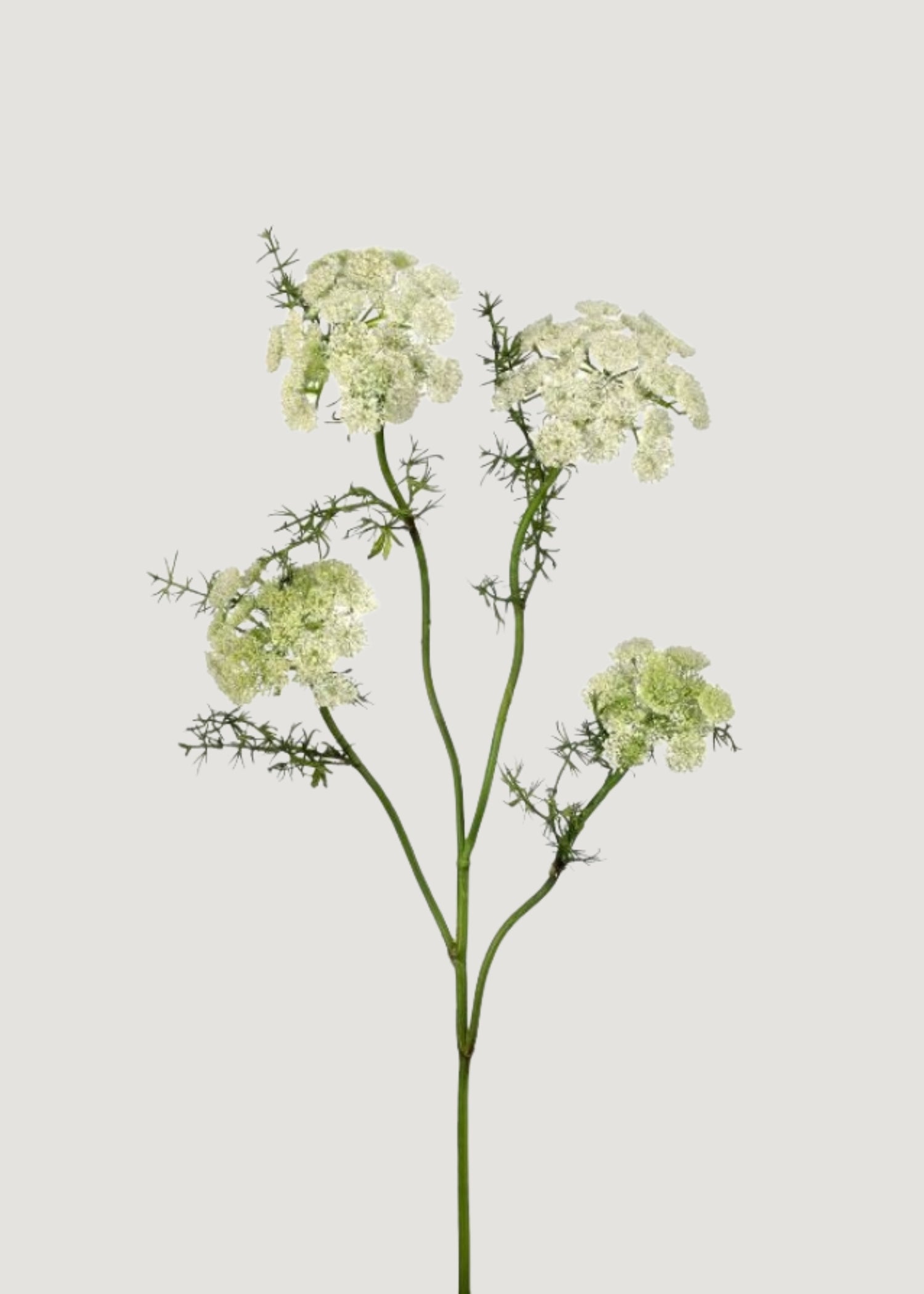 Artificial Dill Wildflower Branch