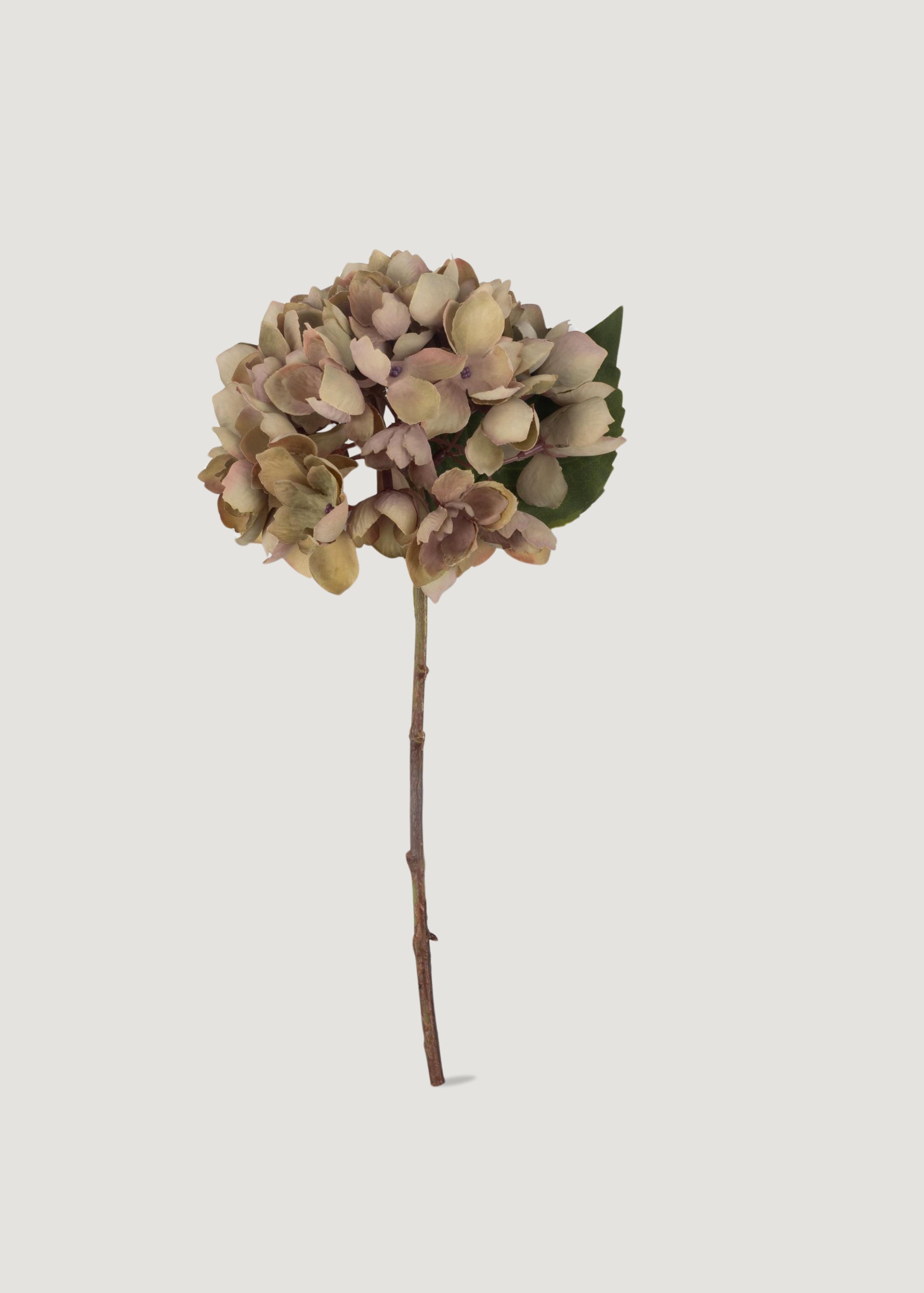 Dried Look Faux Hydrangea 