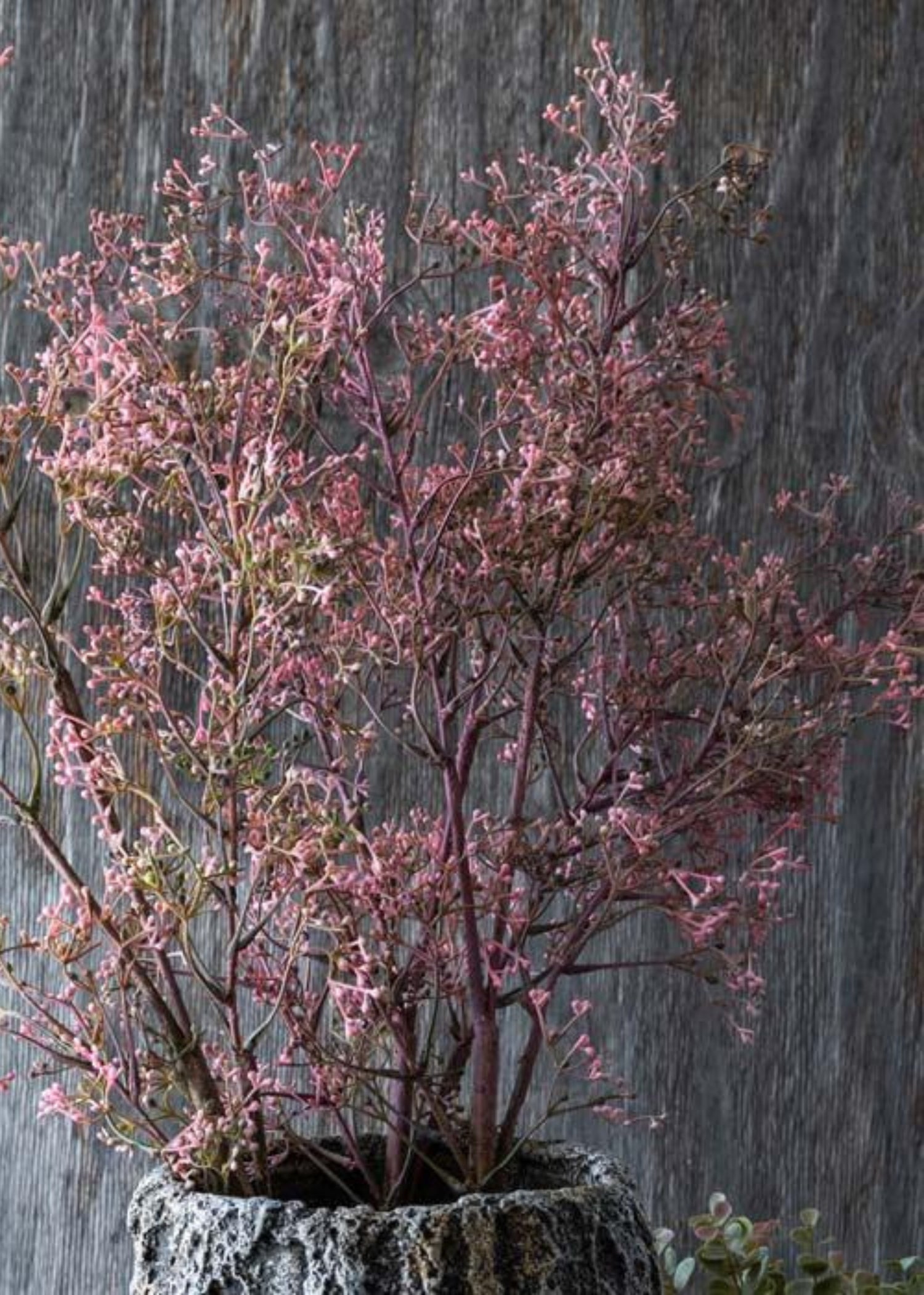 Artificial Pink Privet Foliage Branch