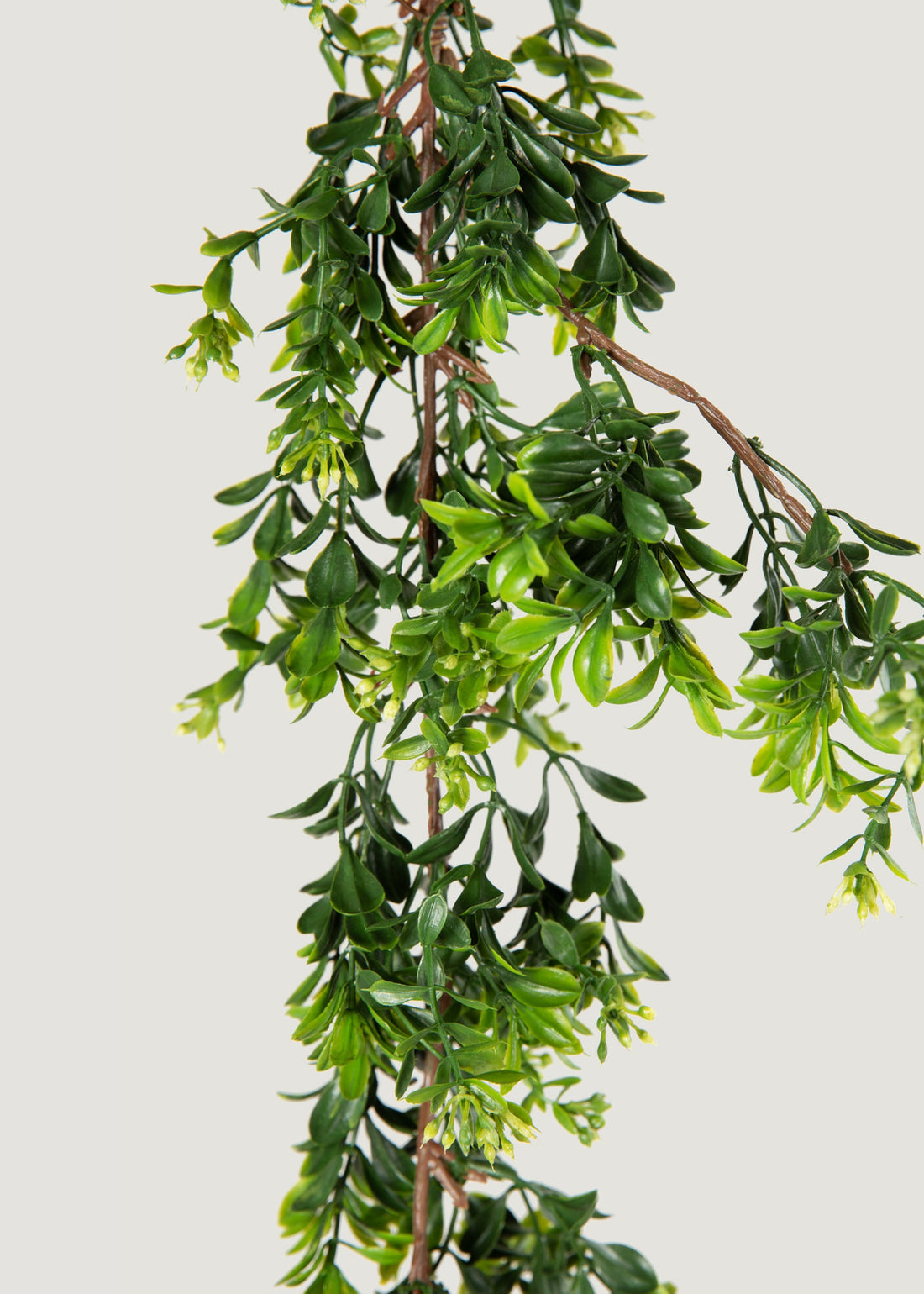 Artificial Boxwood 