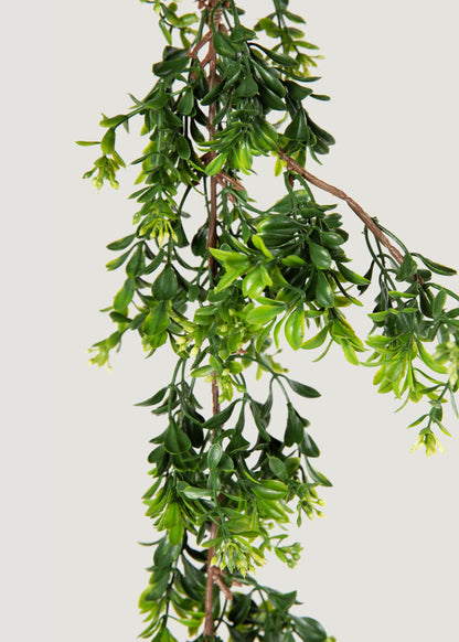 Artificial Boxwood 