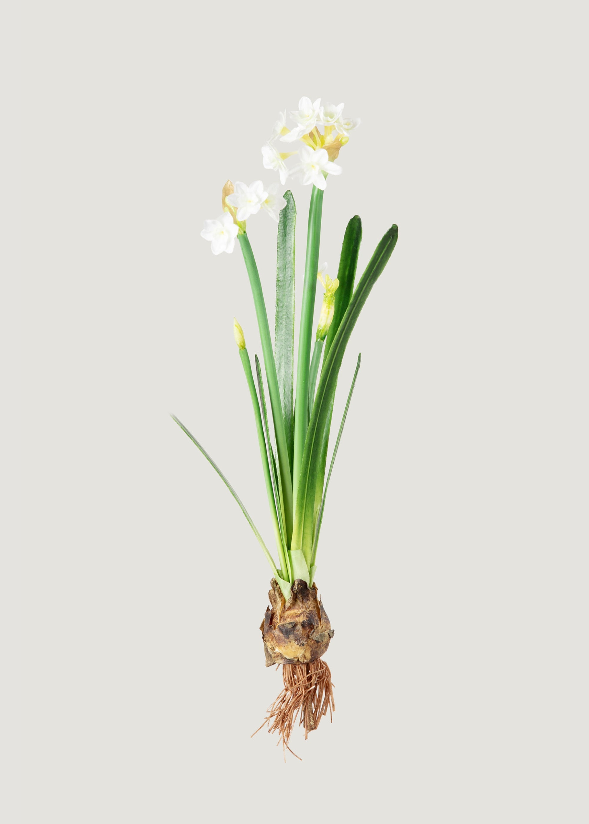 Faux Paperwhite Narcissus Drop-In Plant 