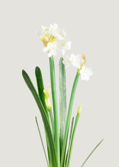 Artificial Paperwhite Narcissus 