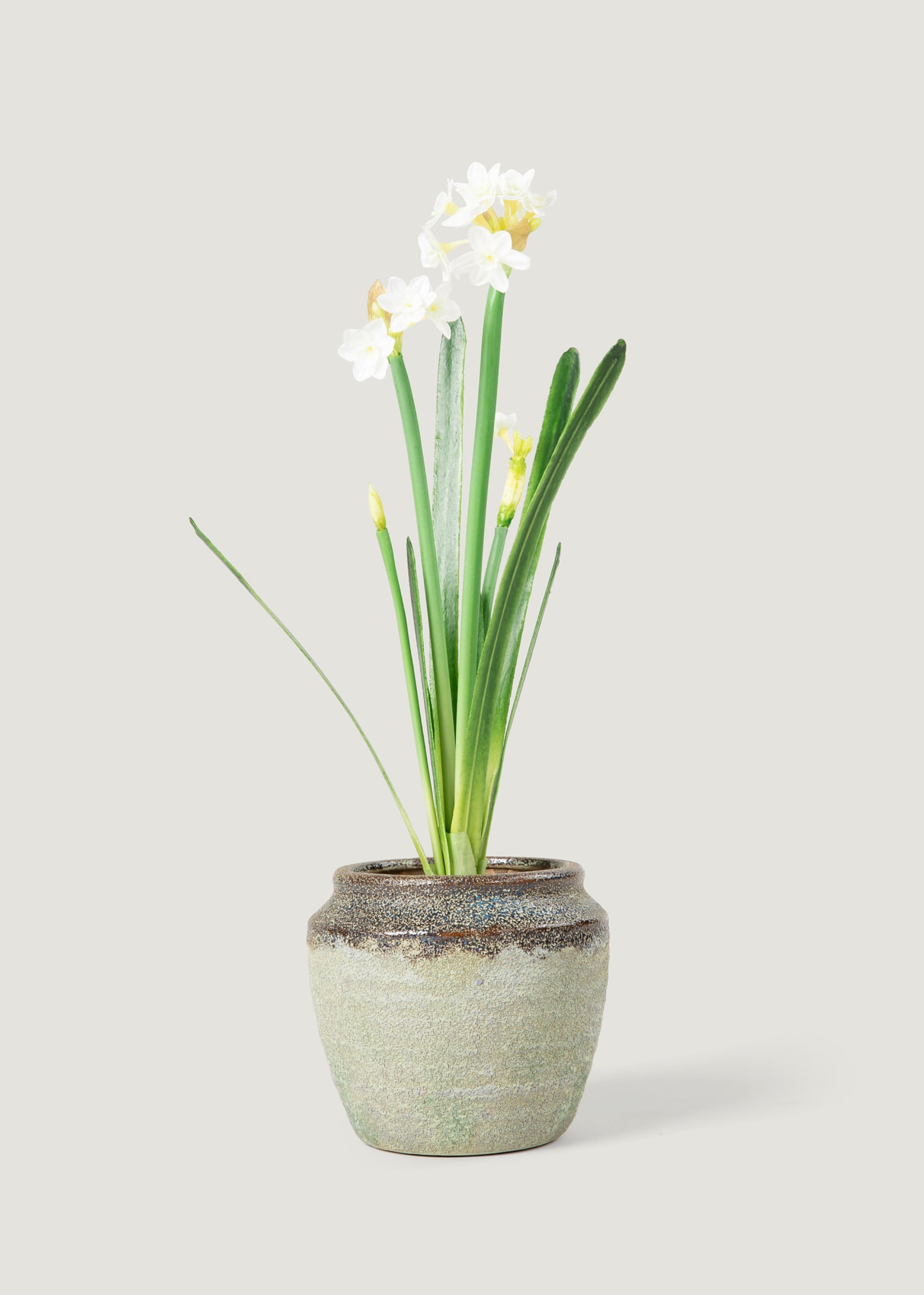 Faux Paperwhite Narcissus