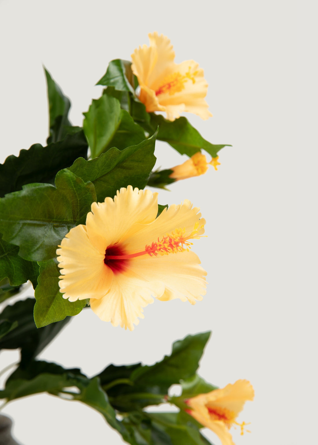 Faux Orange Hibiscus Flowers