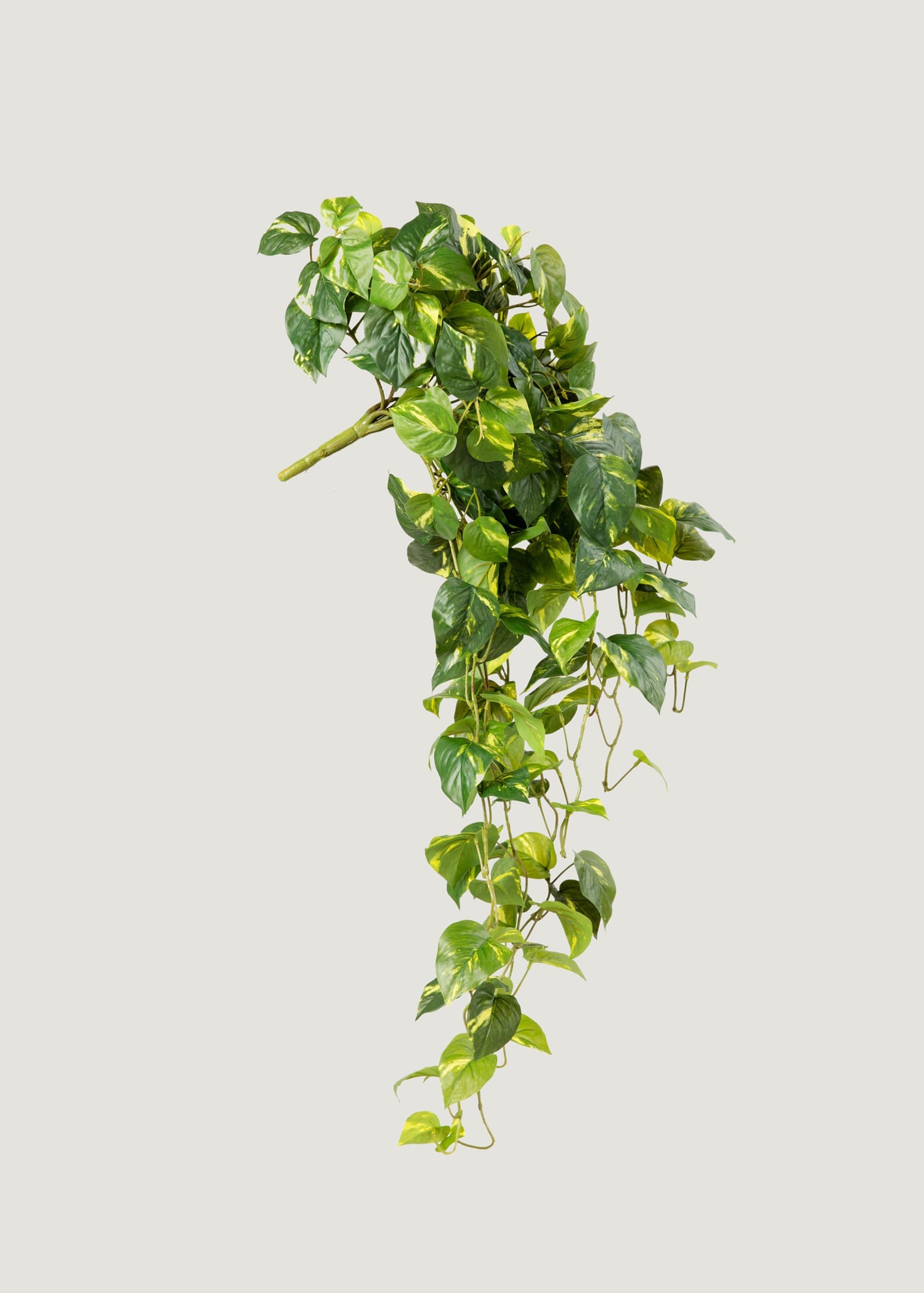 Hanging Faux Pothos Bush